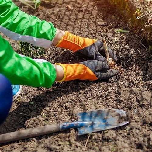خدمات باغبانی وزراعی خدابخش ،اجرای خدمات شخم زنی سمپاشی آبیاری در قزوین