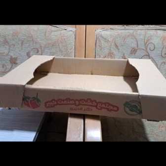 کارتن سازی بهروز