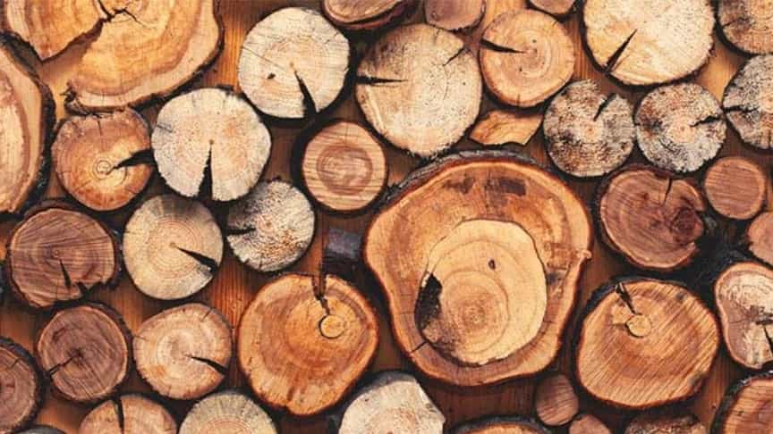 Why is wood an important product?