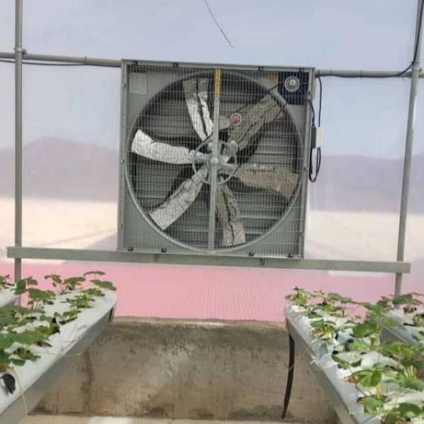 گروه مهندسی میرزاخانی