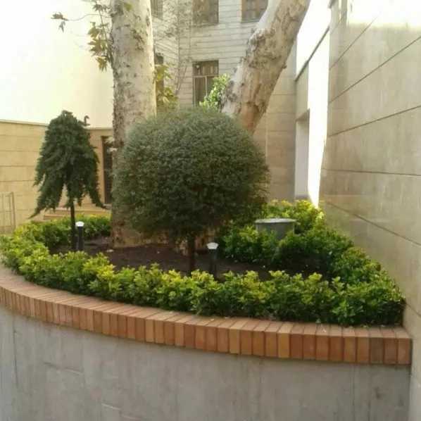 باغ شهر ایرانیان