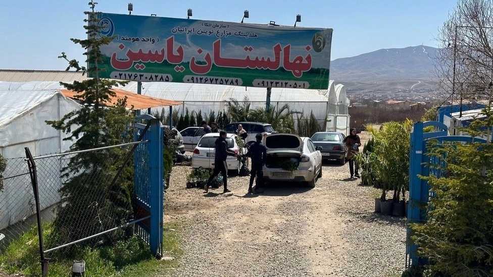 نهالستان یاسین در دماوند