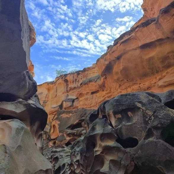 طبیعت گردی و کوهنوردی پرواز
