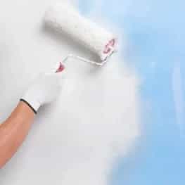 1715247859710.webp