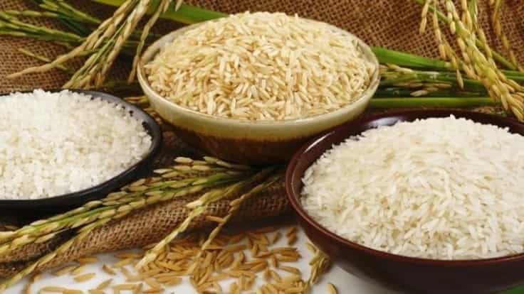 The difference between Hashemi and Tarem rice