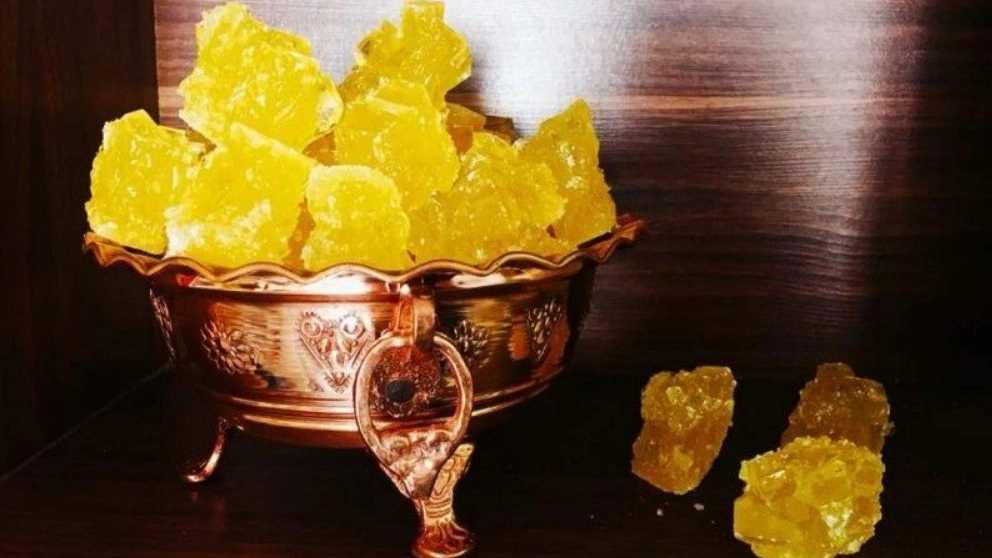 انواع نبات