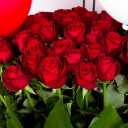 Rhubarb company, production and distribution of eternal and Dutch roses in Isfahan