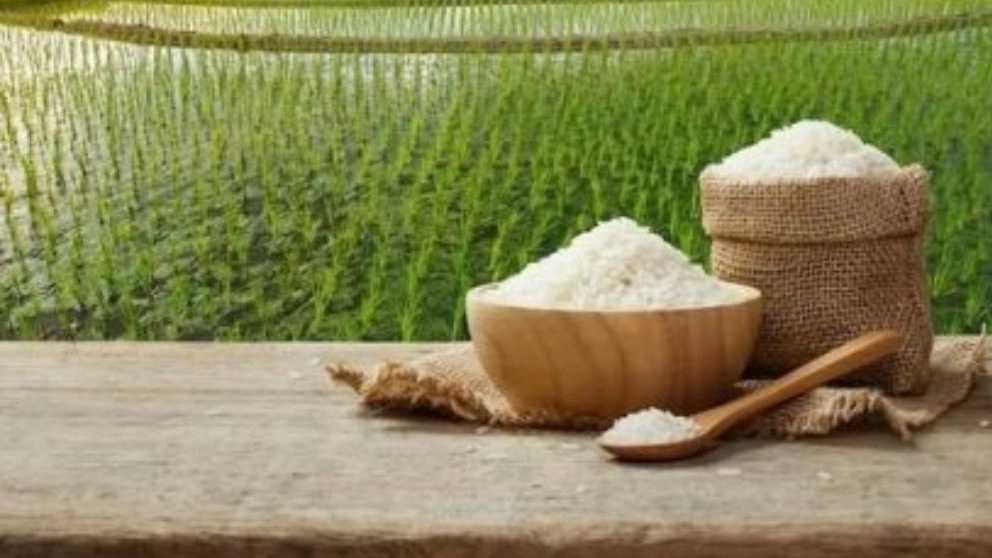 خواص برنج ایرانی چیست؟