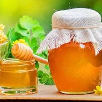نگین خشکبار، فروش عمده و صادرات عسل ارگانیک و طبیعی در خراسان رضوی