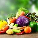 Paliz Company, export of agricultural products in Tehran