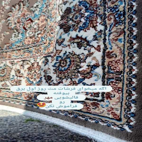 قالیشویی مهر