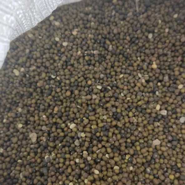 حبوبات ماداکتو