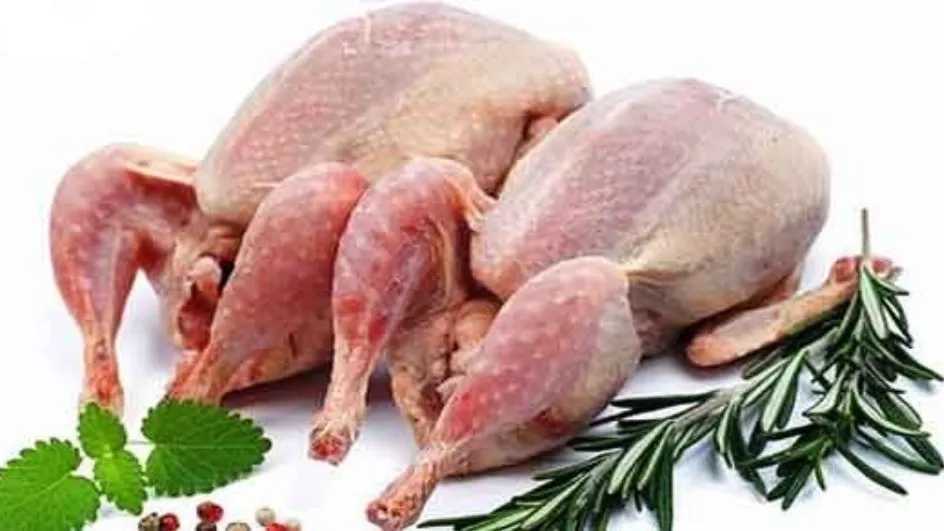 گوشت مرغ یا خروس؟