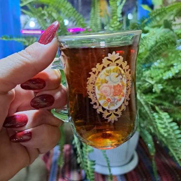 همیشه بهار