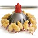 Poultry equipment of Khodabande Lu in Qazvin