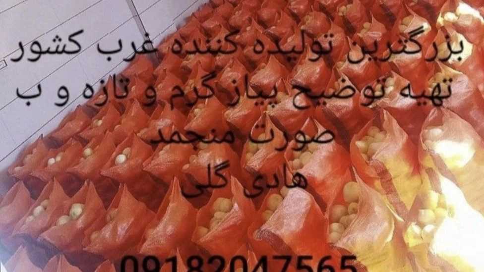 تولیدی سیر و پیاز هادی گلی، تولید کننده سیر و پیاز گرم و منجمد در همدان
