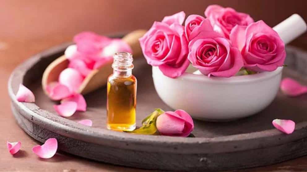 ما هي الخصائص العلاجية للورود؟