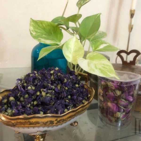 راشا رز