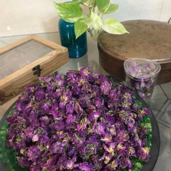 راشا رز