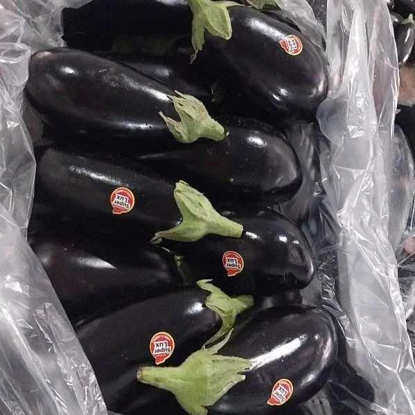 فروش و بسته بندی میوه و تره بار فریبرز