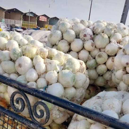 فروش و بسته بندی میوه و تره بار فریبرز