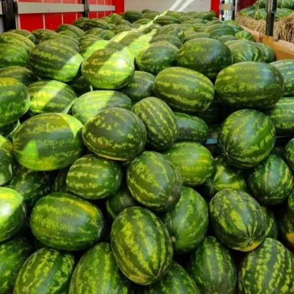فروش و بسته بندی میوه و تره بار فریبرز