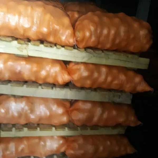 تولیدی سیر و پیاز هادی گلی