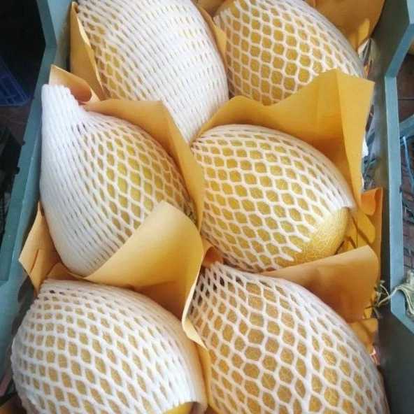 سورتینگ رضا عوض پور