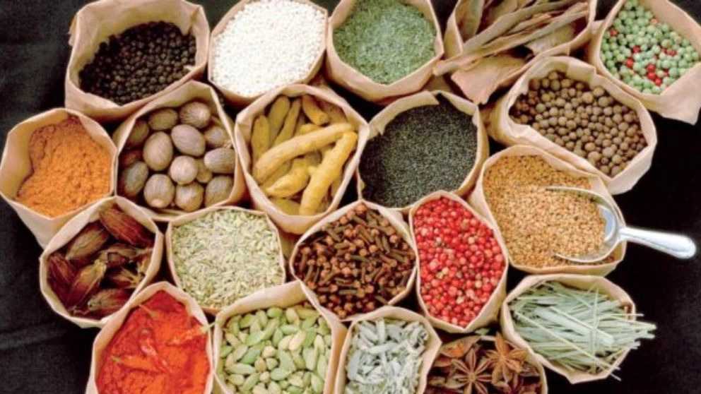 Motahari Trading, wholesale sale and export of medicinal plants in Gachsaran
