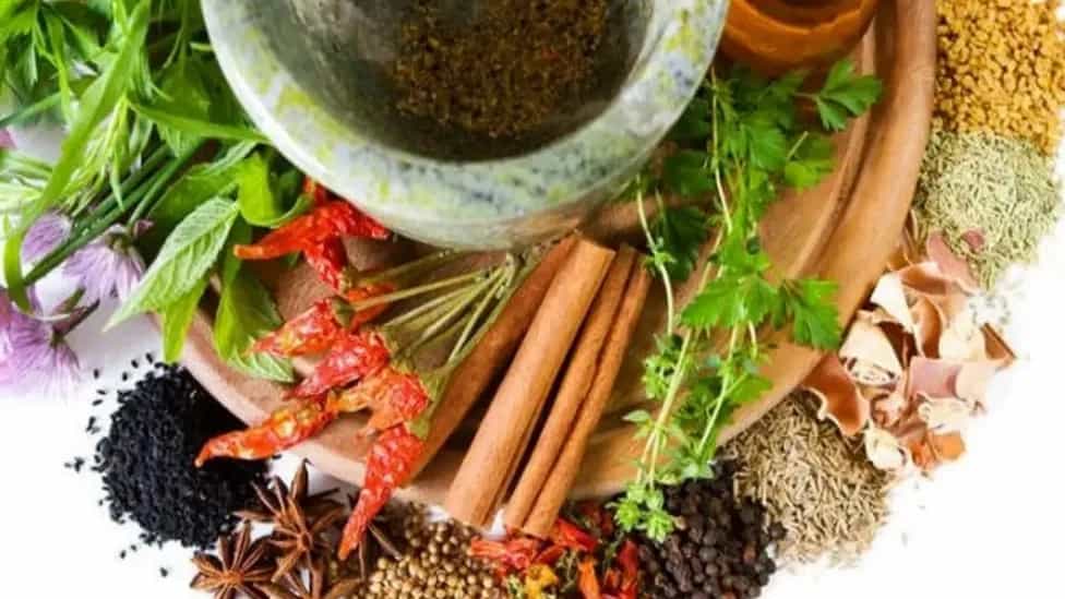 التعرف على أفضل النباتات الطبية