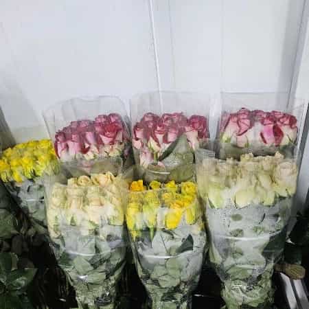1723108204643.webp