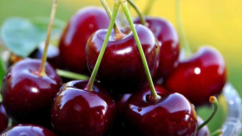 انواع میوه های تابستانی