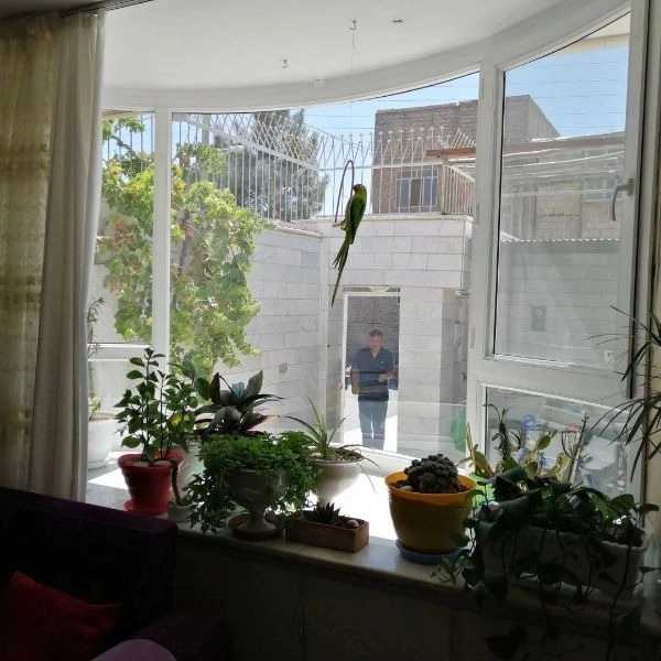 آداک پنجره