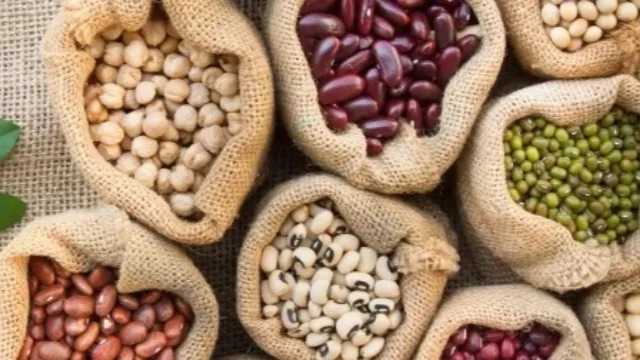 خواص بی‌نظیر حبوبات برای سلامتی بدن چیست؟