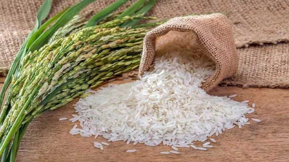 مشخصات برنج مرغوب