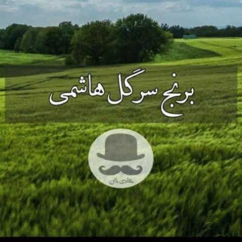 محصولات ارگانیک هادی خان