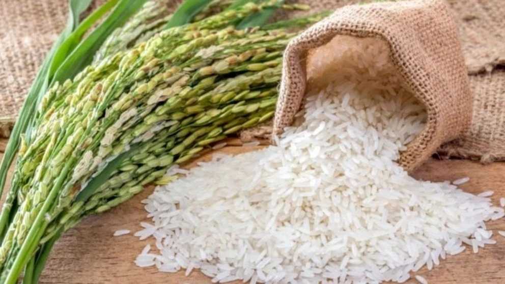 خواص برنج ایرانی