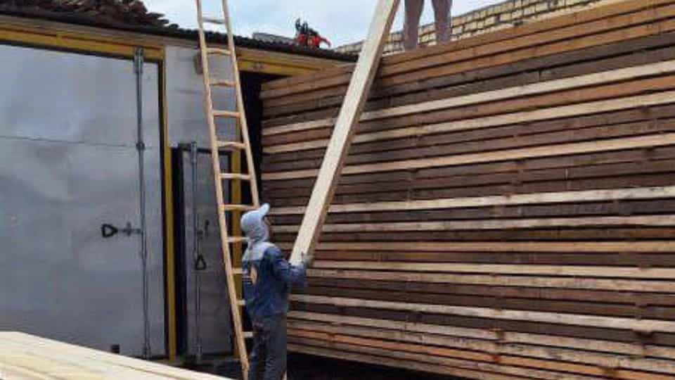 Characteristics of Russian wood