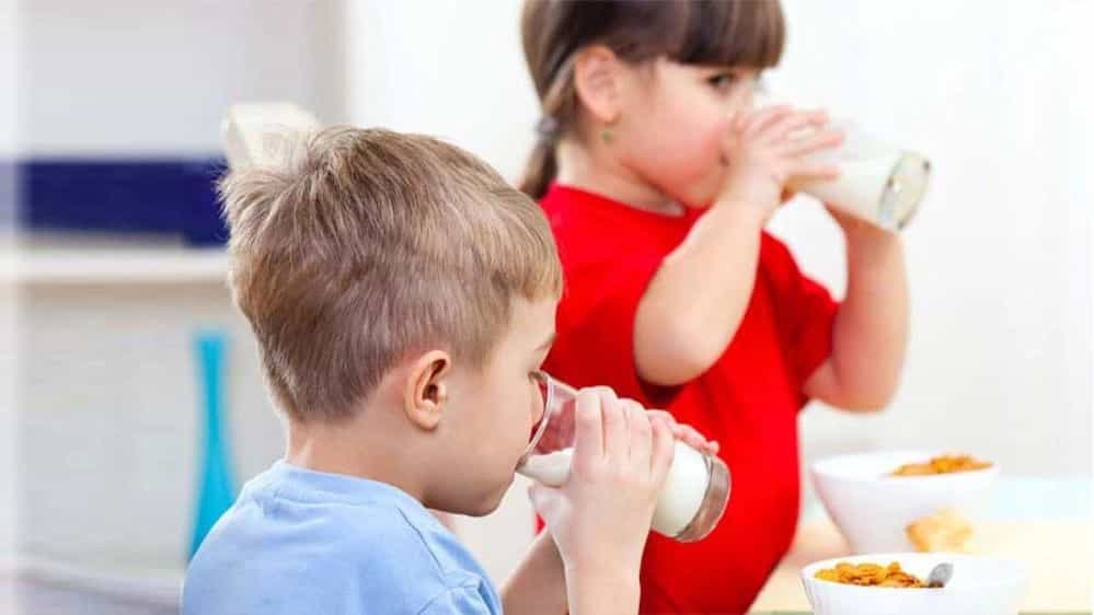 Dairy products for children