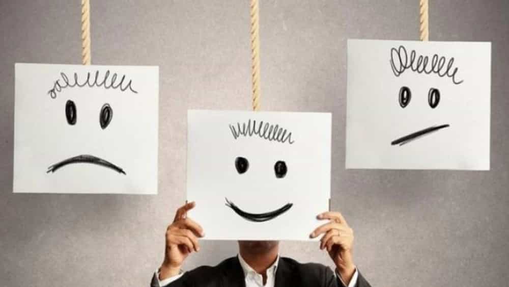 Psychological temperament theory