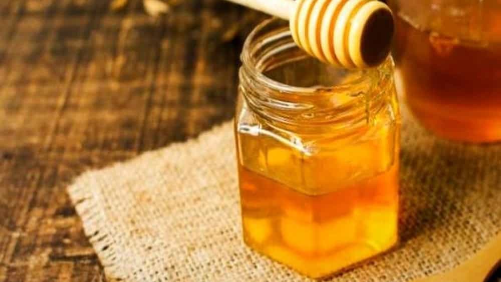 Wholesale sale and export of original eucalyptus honey