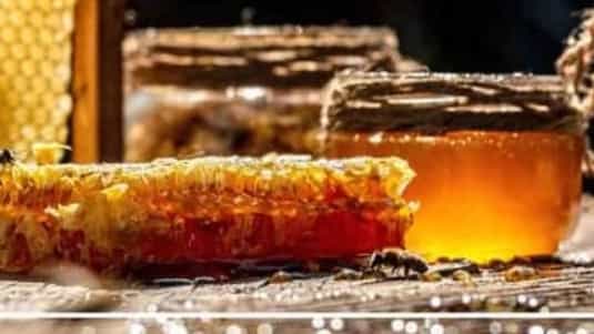 Wholesale sale and export of organic honey