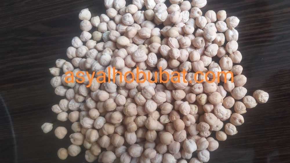 فروش عمده نخود ریز فلافلی + قیمت صادراتی