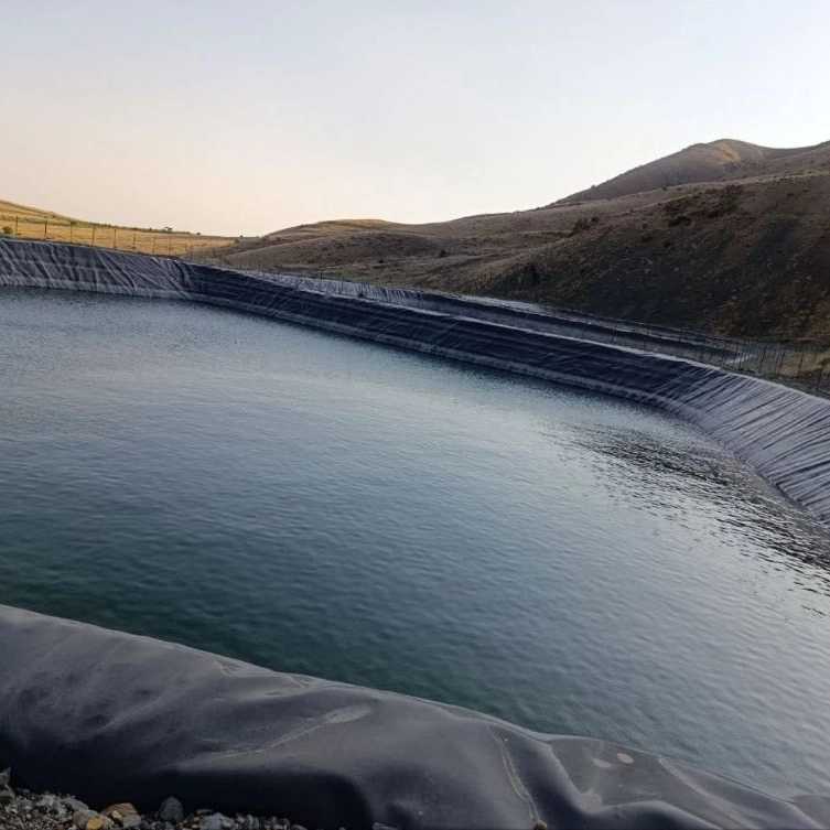 شرکت پرگاس