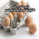 Shah Sanam dairy containers, design, construction and operation of egg comb production line in Karaj