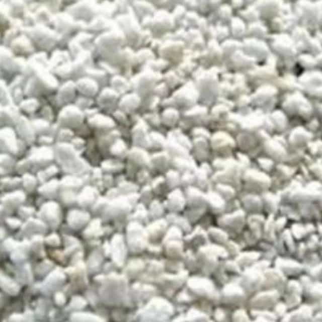 1729584279669.webp