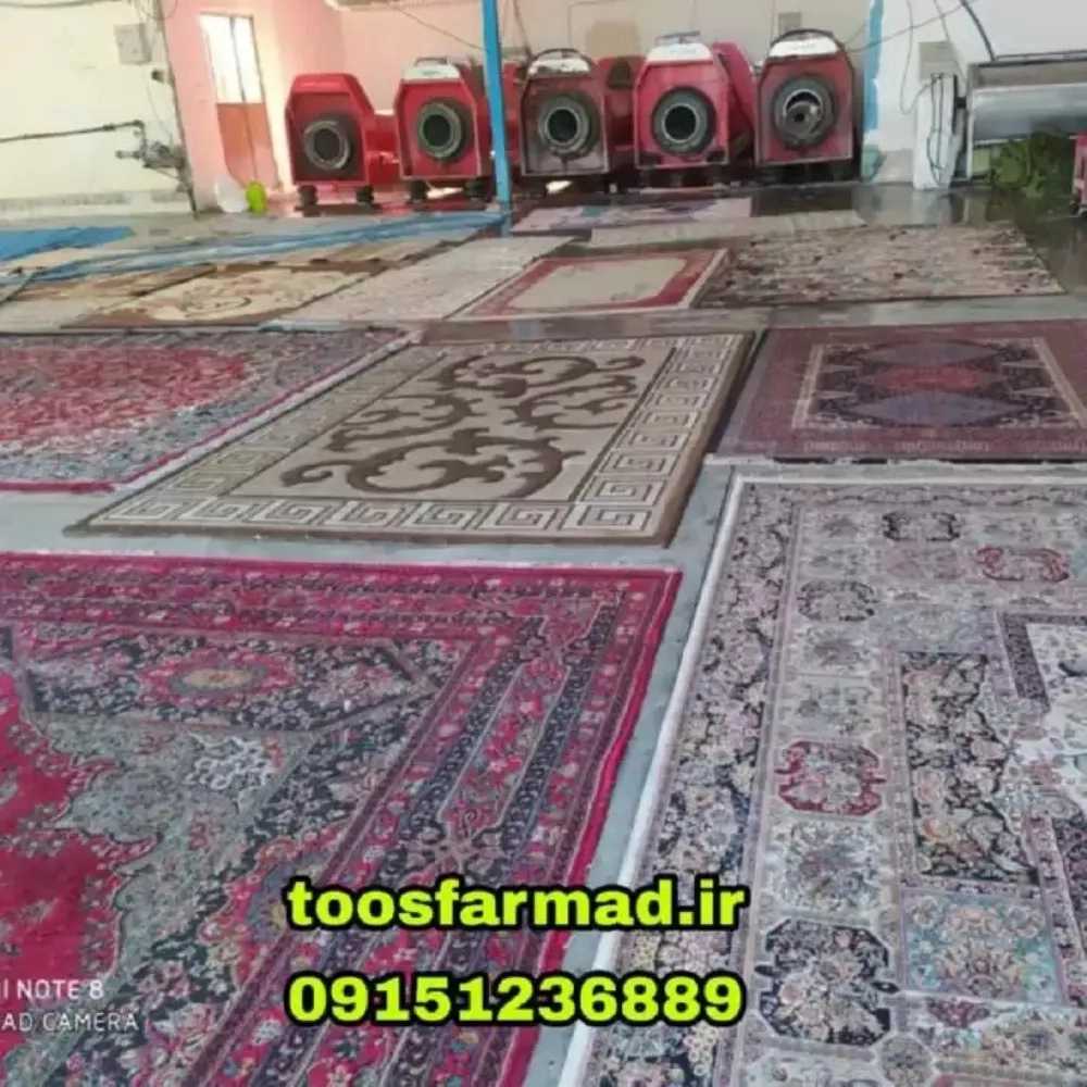 خدمات نظافتی طوس فارمد