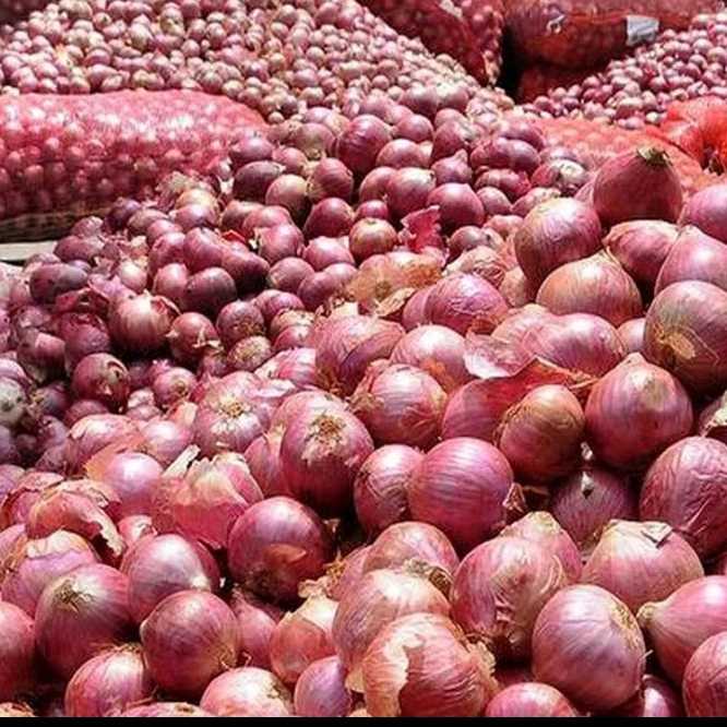 خرید و فروش عمده سیب زمینی و پیاز کمالی