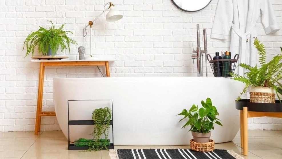 انتخاب انواع گل های زینتی و آپارتمانی برای فضای خانه