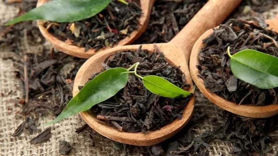 فروش و پخش انواع چای محلی در صومعه سرا